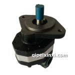 CBFC 40 50侧出齿轮泵